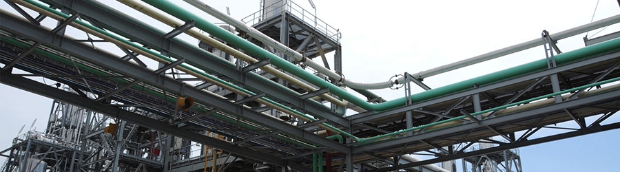 T6: el complejo agroindustrial exportador más importante de América Latina