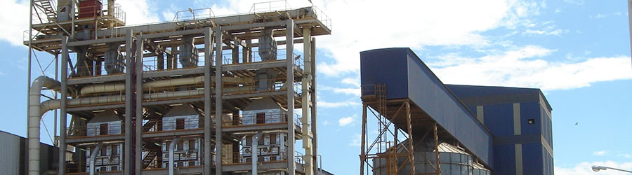 Industria de molienda de soja
