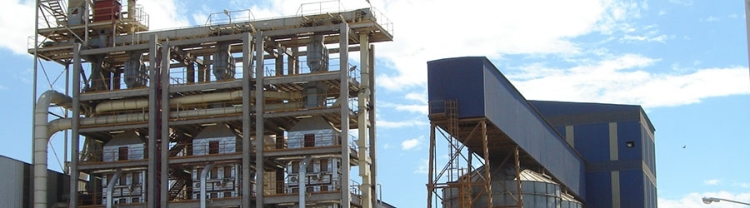 Industria de molienda de soja